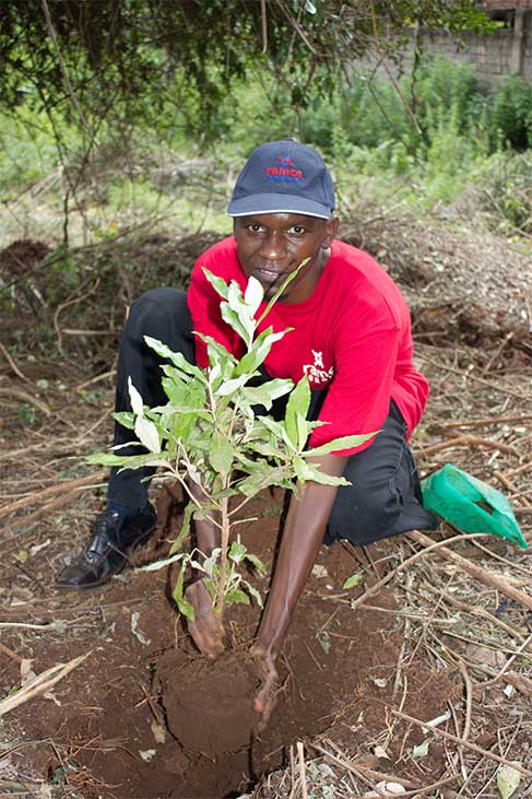tree-planting-01