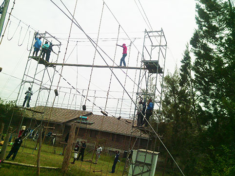 Image-3