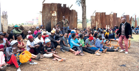 Street Feeding Programme